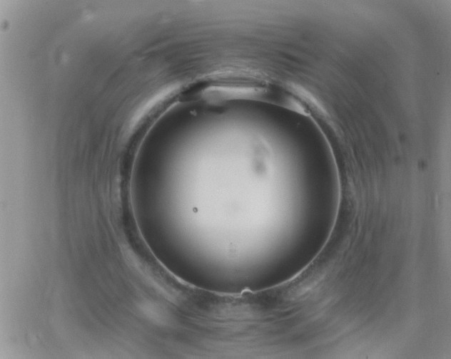 X0000065240535200602242027