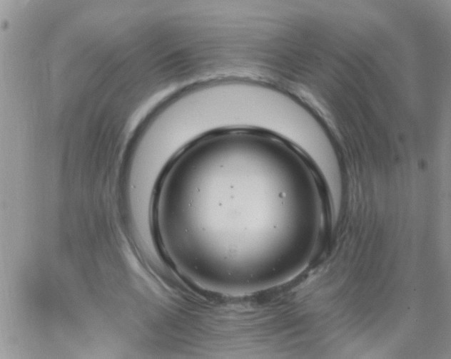 X0000065240536200602242027