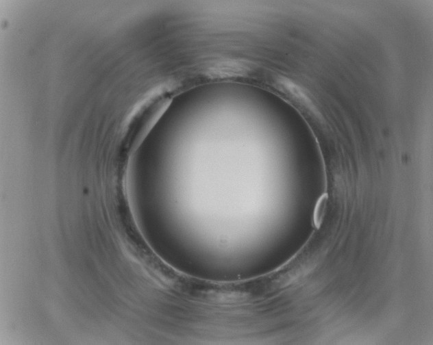 X0000065240539200602242027