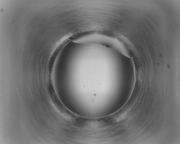 X0000065240540200602242027