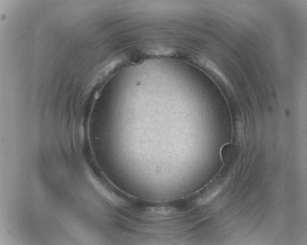 X0000065240541200602242027