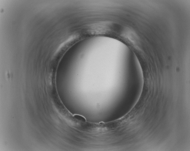 X0000065240543200602242027