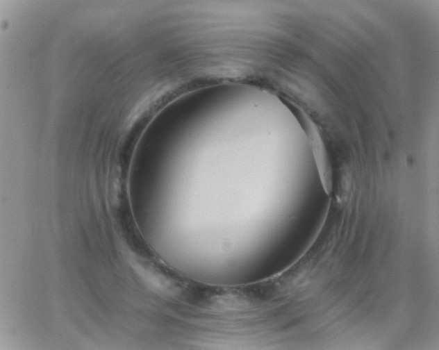 X0000065240544200602242027