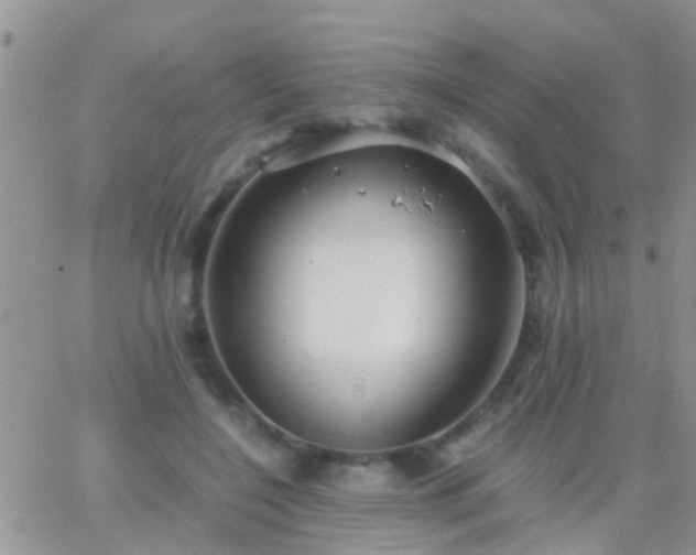 X0000065240548200602242027