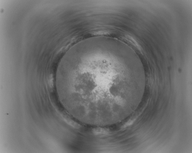 X0000065240549200602242027