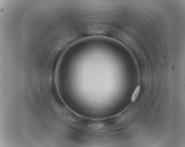 X0000065240551200602242027