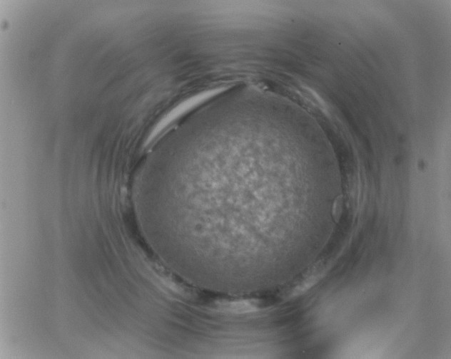 X0000065240553200602242027