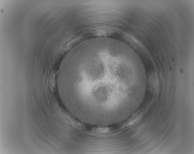 X0000065240554200602242027