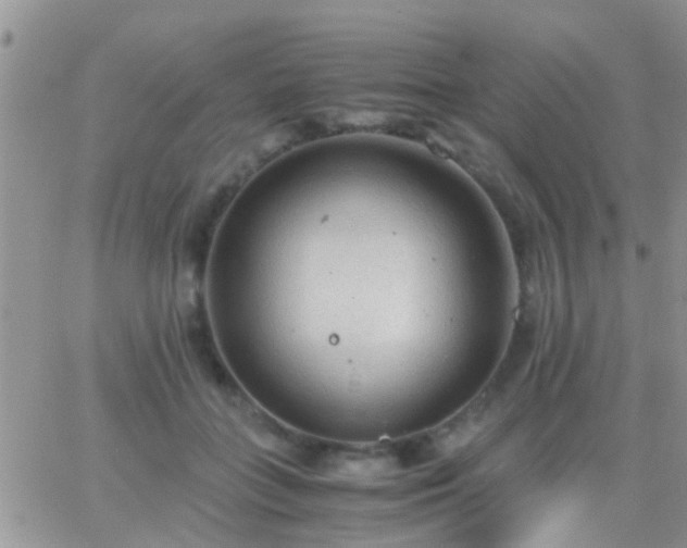 X0000065240555200602242027