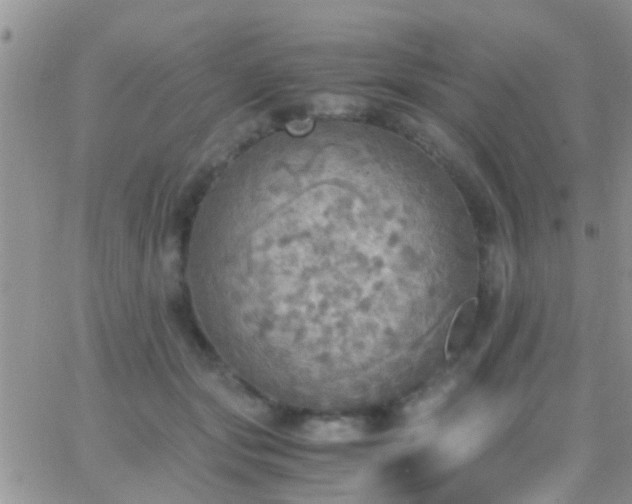 X0000065240557200602242027