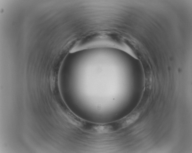 X0000065240558200602242027