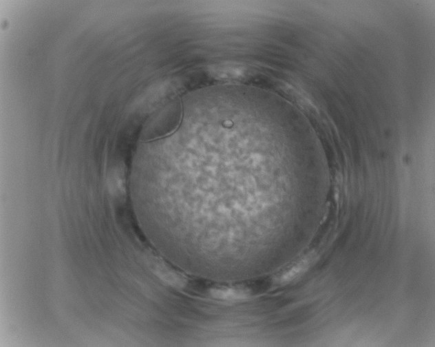 X0000065240561200602242027