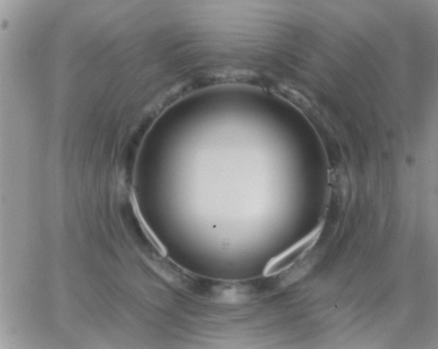 X0000065240564200602242027