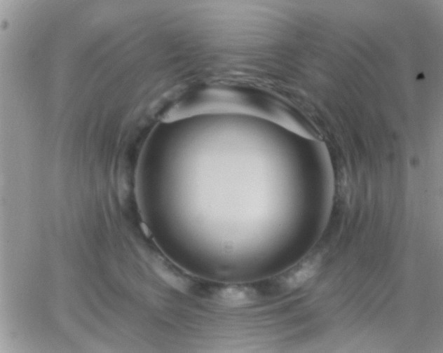 X0000065240566200602242027