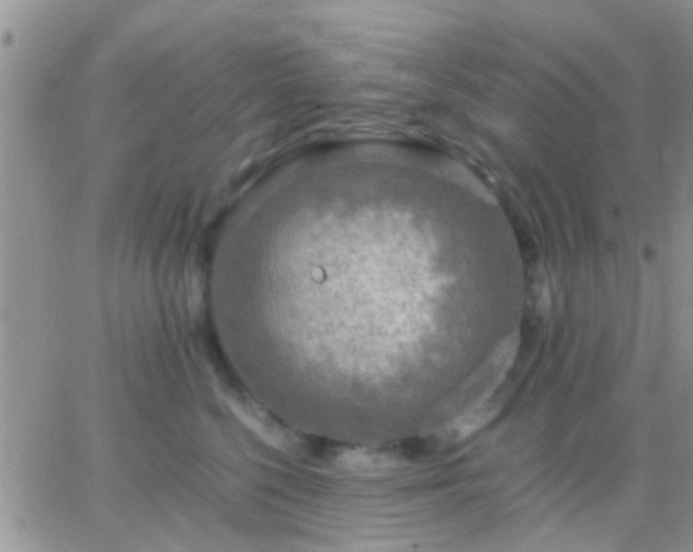 X0000065240568200602242027