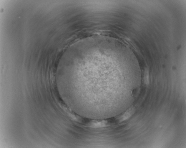 X0000065240569200602242027