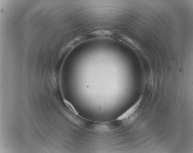 X0000065240572200602242027