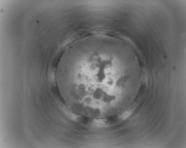 X0000065240573200602242027