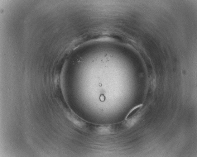 X0000065240574200602242027