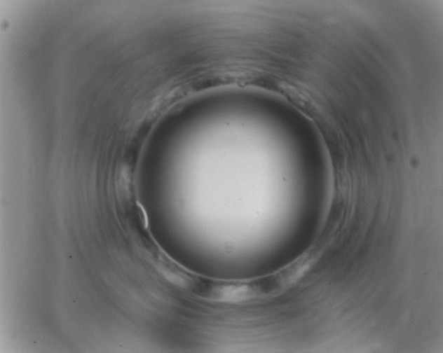 X0000065240575200602242028