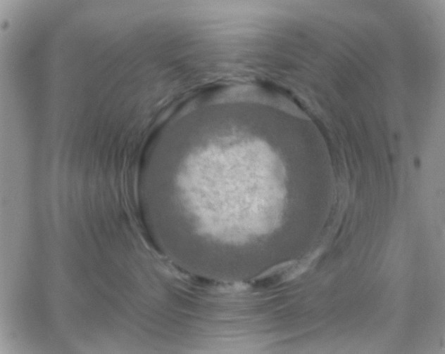 X0000065240576200602242028