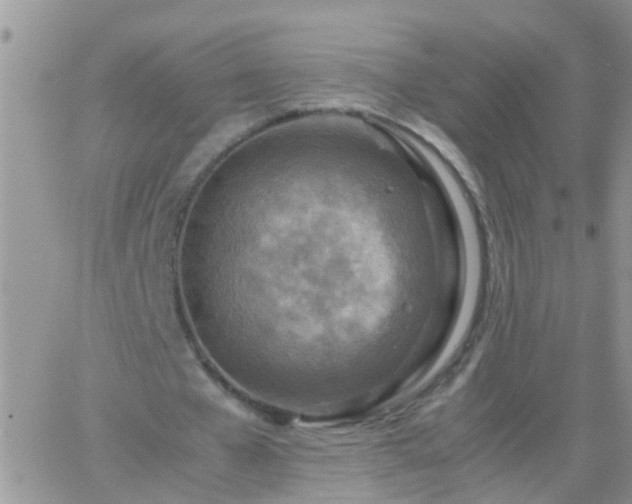 X0000065240577200602242027