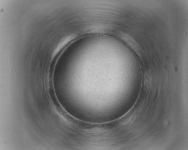 X0000065240578200602242027