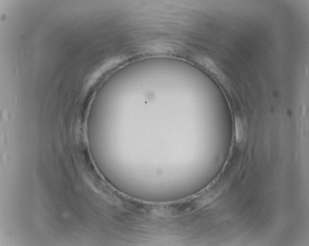 X0000065240579200602242027