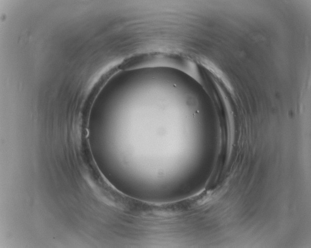 X0000065240580200602242027