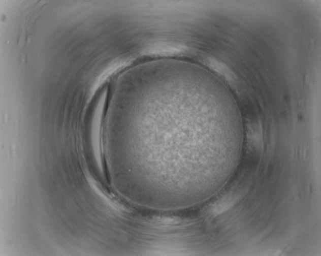 X0000065240582200602242027