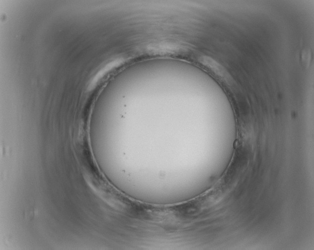 X0000065240583200602242027