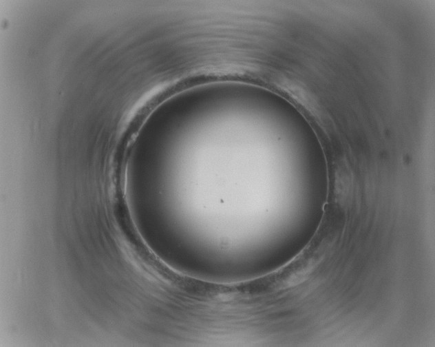 X0000065240584200602242027