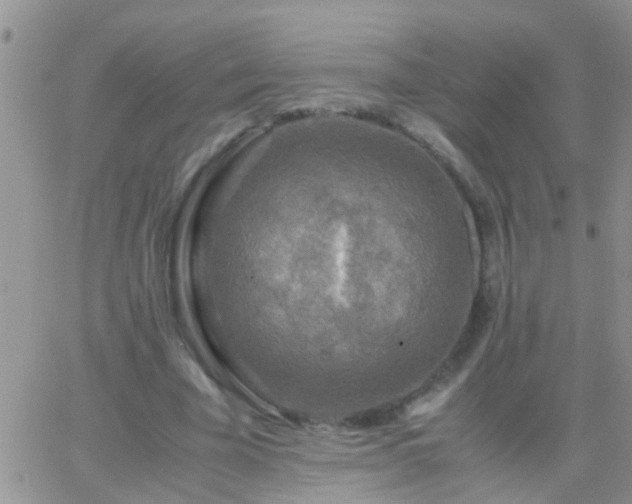 X0000065240585200602242027