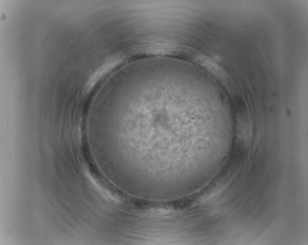 X0000065240586200602242027