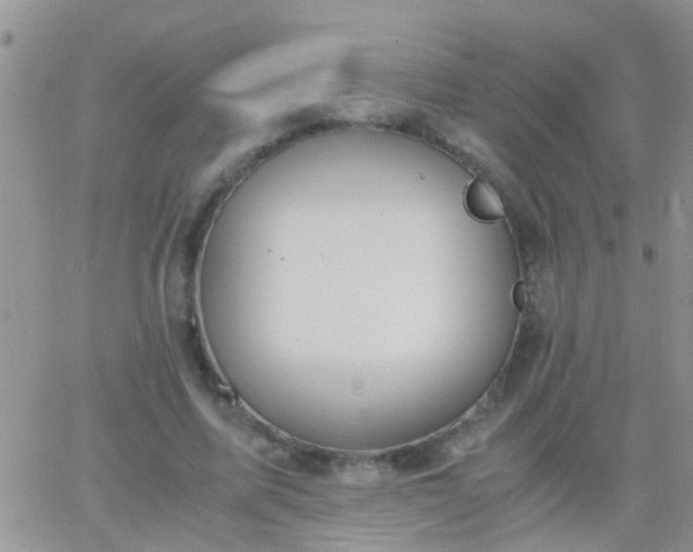 X0000065240587200602242027