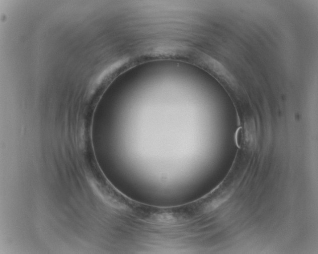 X0000065240588200602242027