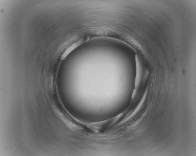 X0000065240589200602242027