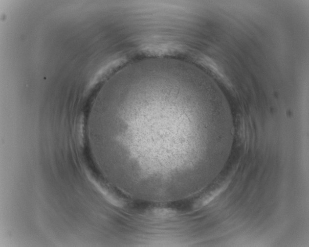 X0000065240590200602242027