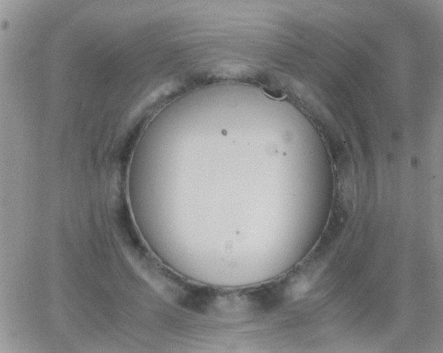 X0000065240591200602242027