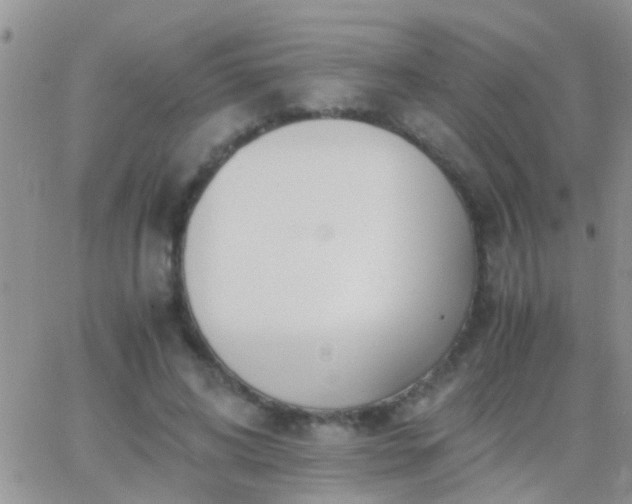 X0000065240592200602242027