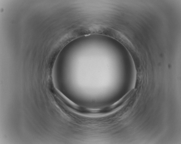 X0000065240593200602242026