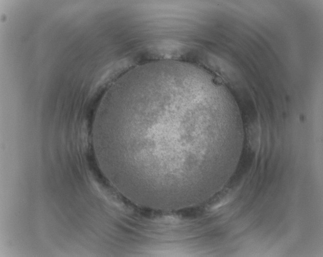 X0000065240594200602242026