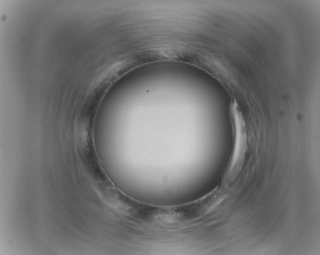 X0000065240595200602242026