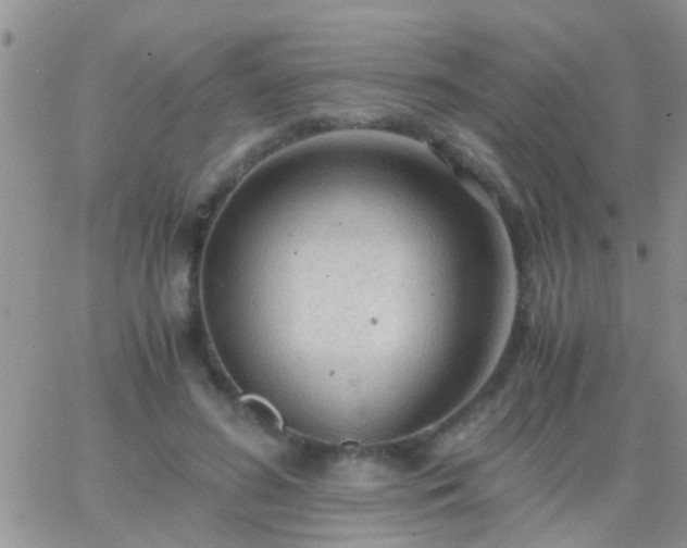 X0000065240596200602242026