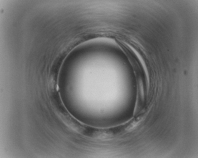 X0000065240597200602242026