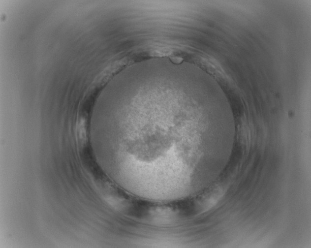 X0000065240598200602242026