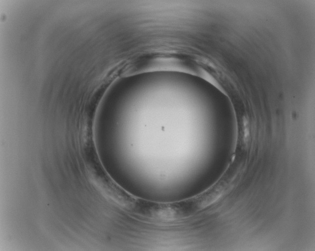 X0000065240600200602242026