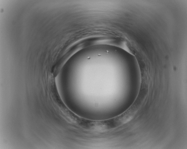 X0000065240601200602242026