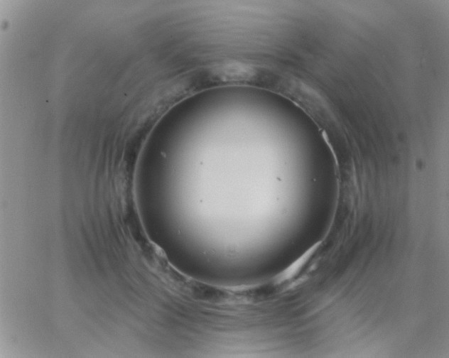 X0000065240604200602242026