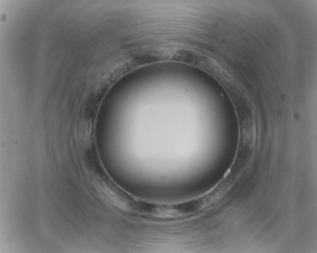 X0000065240605200602242026